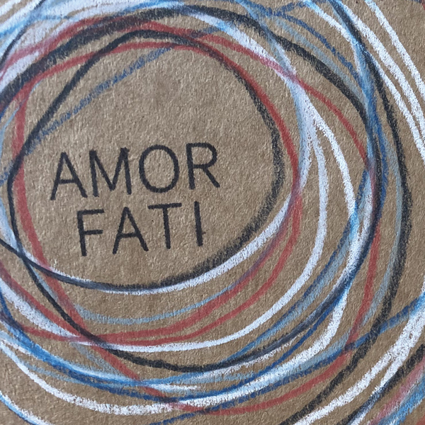 couverture originale amor fati pascale morvan